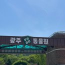 패밀리분식 | 아기랑 광주 패밀리랜드 ‘우치동물원’ (+토토로분식 후기까지,,)