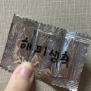 어바웃판도라 | 死월