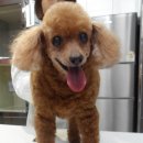 분당파크뷰동물병원 이미지