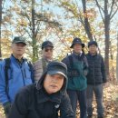 제337차 五峰山(240m)11.20(木) 木曜山行 이미지