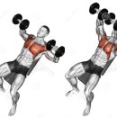 피트니스 에스 핏 이미지