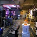 고부루비어컴퍼니 이미지