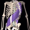 우리들척추운동센터 이미지