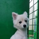 병점서로 이미지