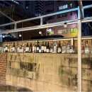 소나무언덕 이미지