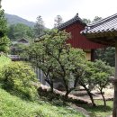 선암사성보박물관 이미지