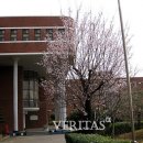 전남과학고등학교 이미지