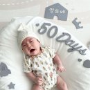 박은영 카카오 검색결과