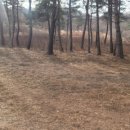 수하농장 이미지