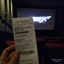 5월 마지막 주 대전댁 일상 기록 6번째 달 시작