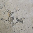 신라산부인과의원 이미지