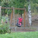 숲속풍경 이미지