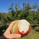 봉다리농장 이미지