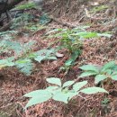 은비농장 이미지