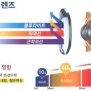 으뜸플러스 두호장성점 이미지