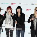 2NE1 카카오 검색결과