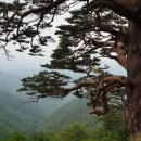 청사포공원 어울마당 이미지