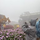 다람쥐신발나라 | 다낭 바나힐 렌트카 후기 | 골든브릿지 · 무료 맥주 꿀팁까지 총정리