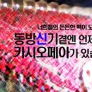 우리카