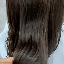 미장초등학교 정문(고고헤어앞) | 뿌리부터 달라, 내 머리 자존감 뿜뿜한 후기!