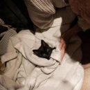 부부슈퍼마켓 이미지