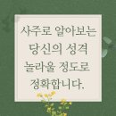 사주로 보는 나의 성격심리 이미지