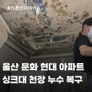 현대전기관리공사 | 울산 문화 현대아파트 윗집 누수 피해 복구 LX 실크벽지 시공 후기