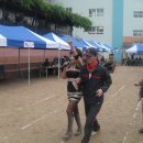 우암초등학교 이미지