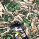 순천목장 이미지