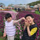 파라다이스유치원 | 충남 태안 안면도 가성비 숙소 파라다이스 펜션