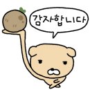 부산대학교 일반대학원 이미지