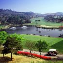 수원-1975 이미지