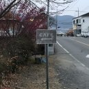 명곡로 | 대구 달성군 송해공원 애견동반 가능한 힐링 카페 웜브리즈