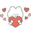 페이퍼 피티 이미지