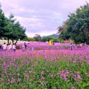 RE:제45차)정기산행10월12일(토)"백담사수렴동계곡"단풍산행후 뒷풀이 식당안내 이미지