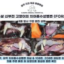 금호동물병원 이미지