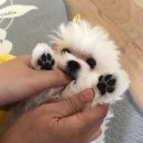 박가네커피 이미지