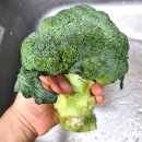 대둔산로199번길 이미지