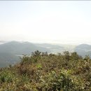 스테이 수림 이미지