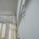 (주)타고타 | b형독감 증상, 실비청구 생생후기