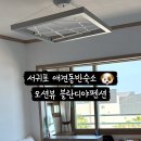 블란디야 이미지