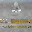 위더스동물의료센터 네이버블로그