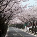 가족키즈펜션안덕 이미지