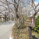 용당세월교 이미지