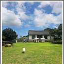 ㈜제주엔젤렌트카 | 반려견 동반 제주여행, 애견카페 추천과 제주엔젤카 디올뉴 그랜저 렌트카 후기