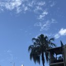 금성자동차정비 | [호주/브리즈번] 요즘 제일 많이 하는 생각 aka. 의식의 흐름대로