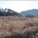 천안2리 경로당 이미지