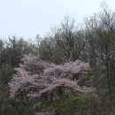 뜨레난농장