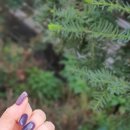 미나네일 이미지