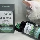 초록비타민 | 초록비타 비타민B3 요즘 주목받는 나이아신아마이드 후기